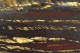 Tiger Iron Stromatolite Oval Cabochon #171319-1